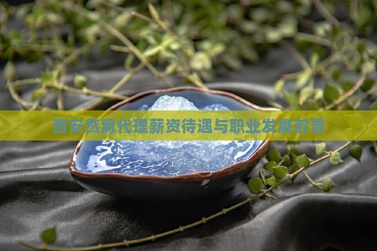 西安燕窝代理薪资待遇与职业发展前景