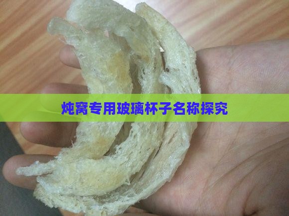 炖窝专用玻璃杯子名称探究