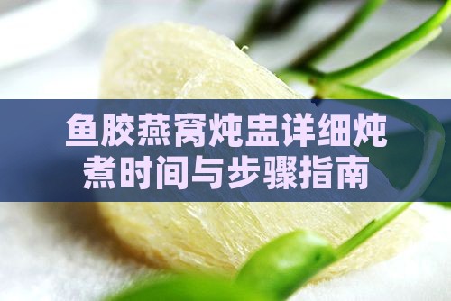鱼胶燕窝炖盅详细炖煮时间与步骤指南