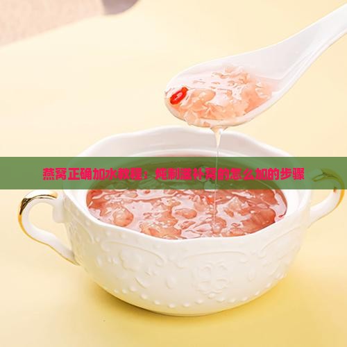 燕窝正确加水教程：炖制滋补窝的怎么加的步骤