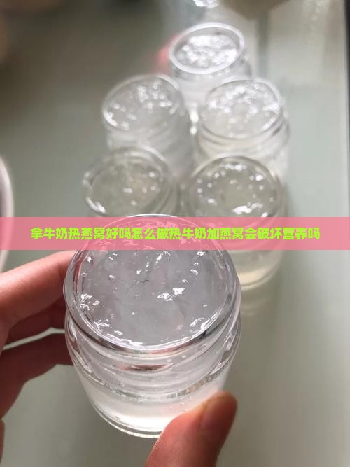 拿牛奶热燕窝好吗怎么做热牛奶加燕窝会破坏营养吗