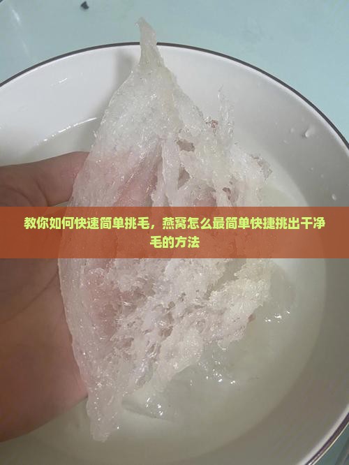 教你如何快速简单挑毛，燕窝怎么最简单快捷挑出干净毛的方法