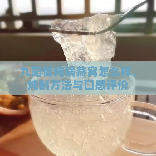 九阳慢炖锅燕窝怎么样，炖制方法与口感评价