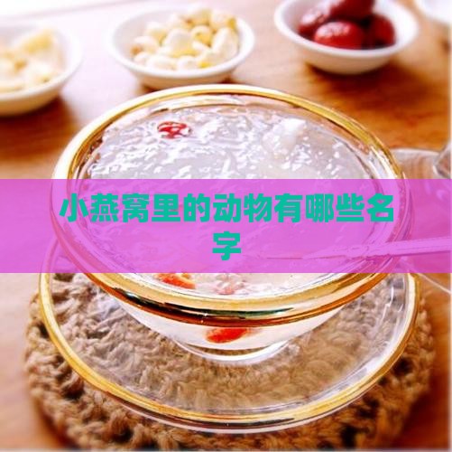 小燕窝里的动物有哪些名字