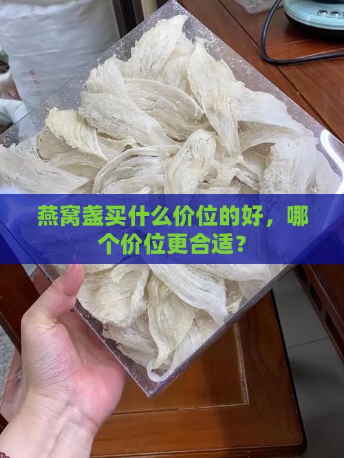 燕窝盏买什么价位的好，哪个价位更合适？