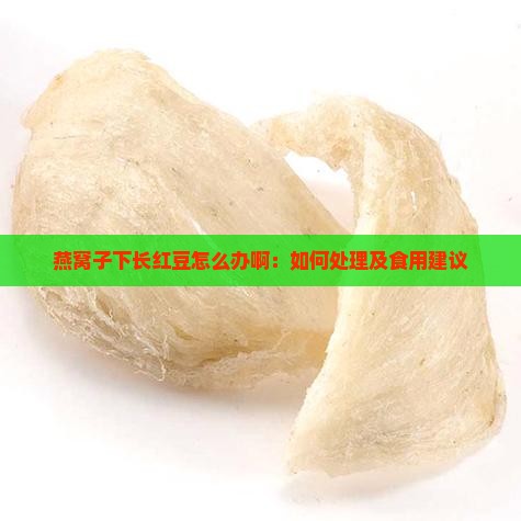 燕窝子下长红豆怎么办啊：如何处理及食用建议
