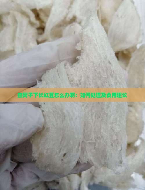 燕窝子下长红豆怎么办啊：如何处理及食用建议