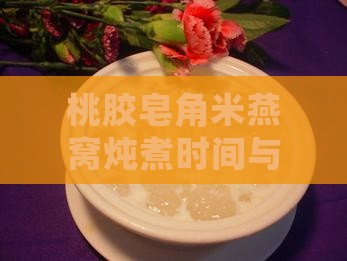 桃胶皂角米燕窝炖煮时间与炖制方法详解