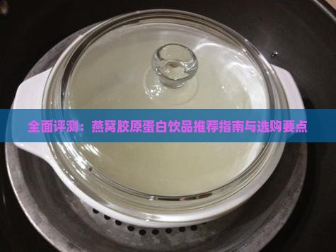 全面评测：燕窝胶原蛋白饮品推荐指南与选购要点
