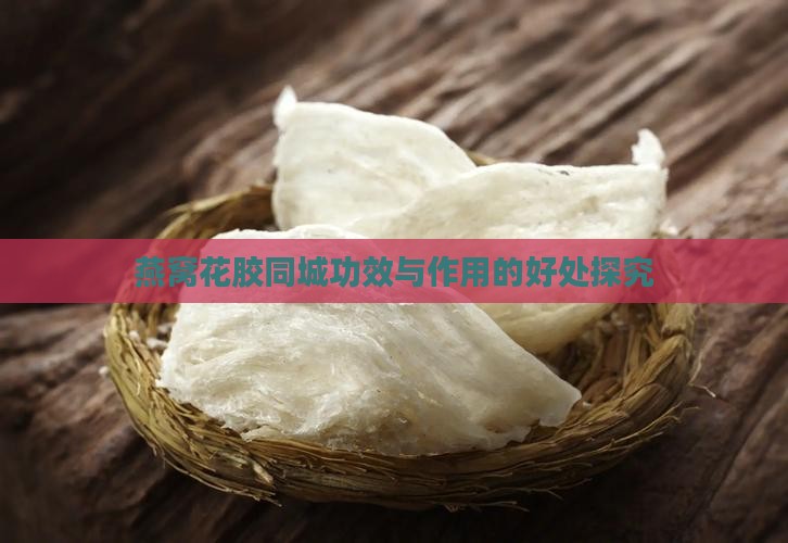 燕窝花胶同城功效与作用的好处探究