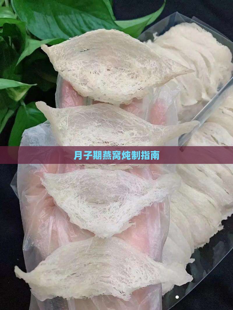 月子期燕窝炖制指南