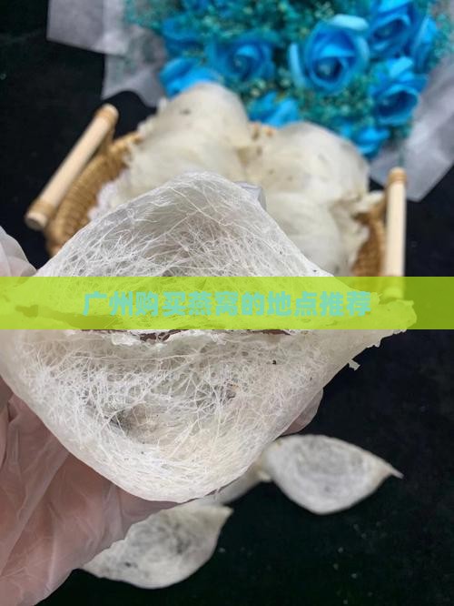 广州购买燕窝的地点推荐