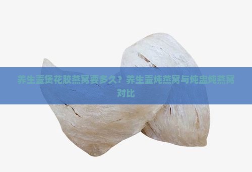 养生壶煲花胶燕窝要多久？养生壶炖燕窝与炖盅炖燕窝对比