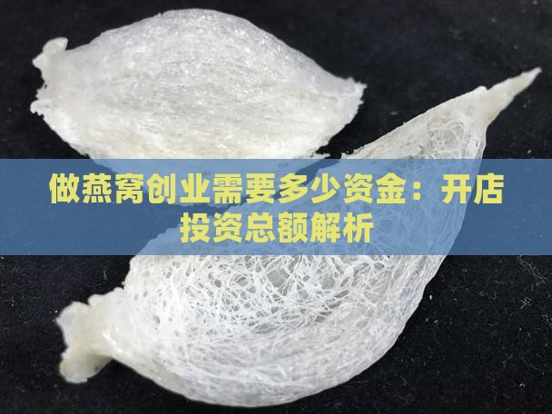 做燕窝创业需要多少资金：开店投资总额解析