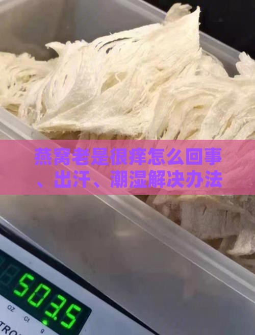 燕窝老是很痒怎么回事、出汗、潮湿解决办法
