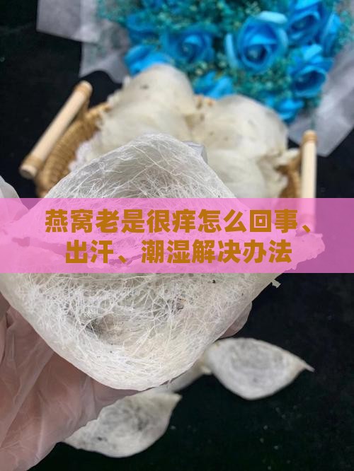 燕窝老是很痒怎么回事、出汗、潮湿解决办法