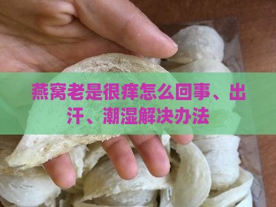 燕窝老是很痒怎么回事、出汗、潮湿解决办法