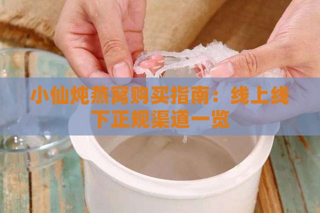 小仙炖燕窝购买指南：线上线下正规渠道一览