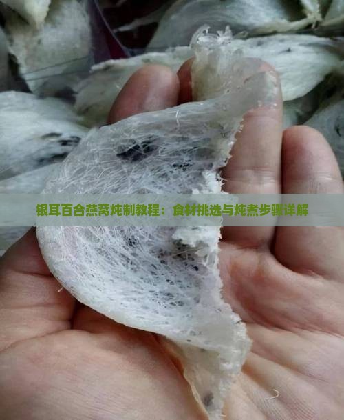 银耳百合燕窝炖制教程：食材挑选与炖煮步骤详解