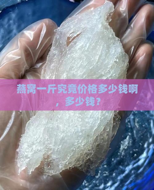燕窝一斤究竟价格多少钱啊，多少钱？