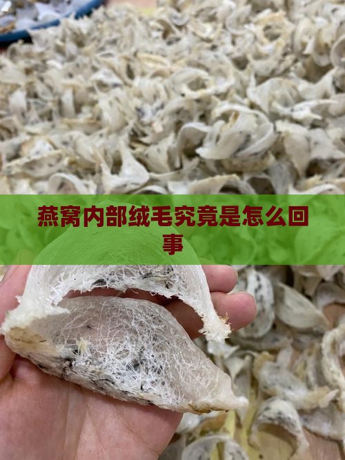 燕窝内部绒毛究竟是怎么回事