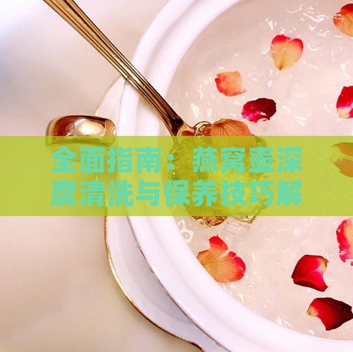 全面指南：燕窝壶深度清洗与保养技巧解析