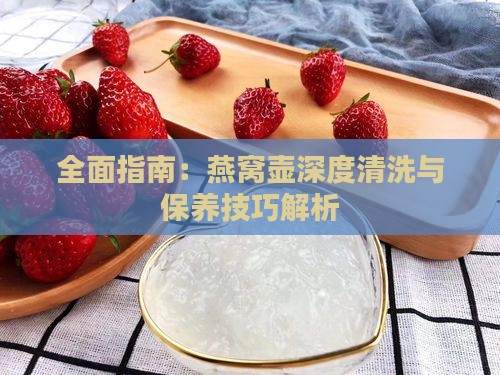 全面指南：燕窝壶深度清洗与保养技巧解析