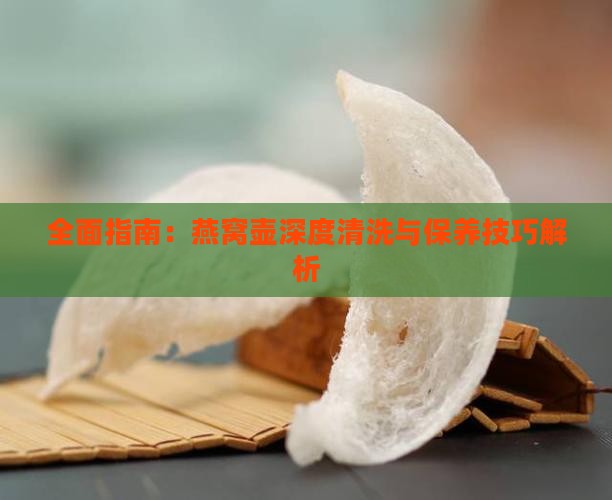 全面指南：燕窝壶深度清洗与保养技巧解析