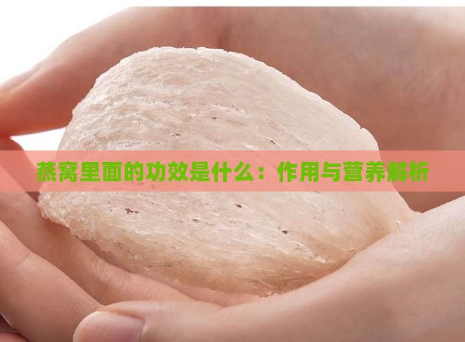 燕窝里面的功效是什么：作用与营养解析