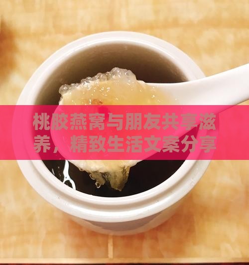 桃胶燕窝与朋友共享滋养，精致生活文案分享