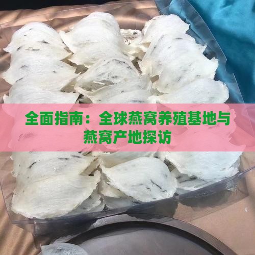 全面指南：全球燕窝养殖基地与燕窝产地探访