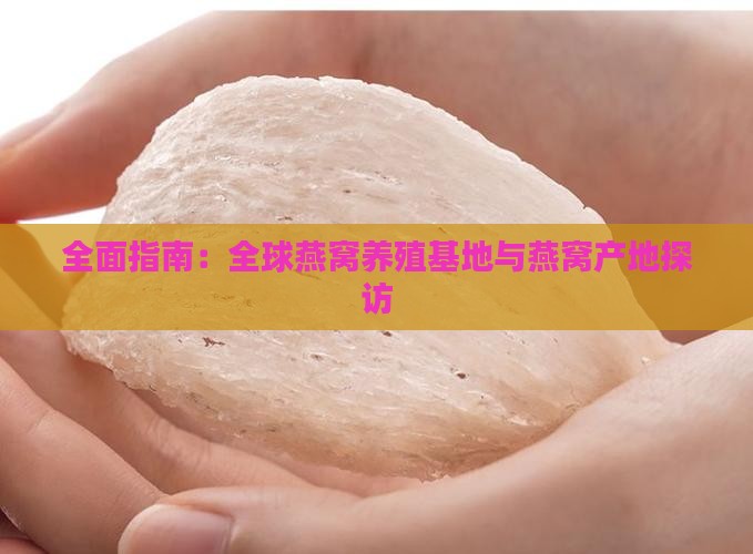 全面指南：全球燕窝养殖基地与燕窝产地探访
