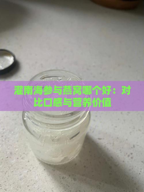 灌南海参与燕窝哪个好：对比口感与营养价值