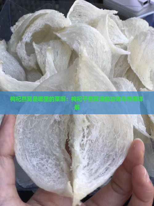 枸杞燕窝是哪里的菜啊：枸杞子燕窝汤的功效与作用详解