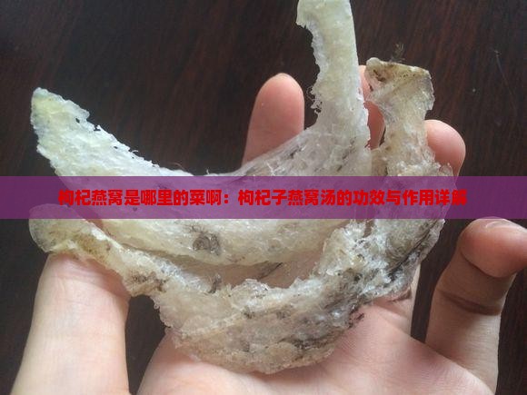 枸杞燕窝是哪里的菜啊：枸杞子燕窝汤的功效与作用详解