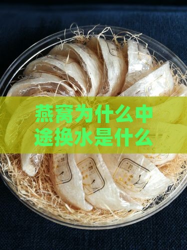 燕窝为什么中途换水是什么原因