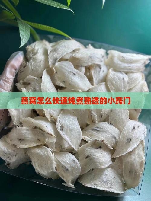 燕窝怎么快速炖煮熟透的小窍门