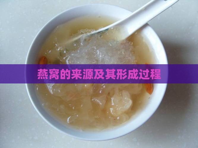 燕窝的来源及其形成过程