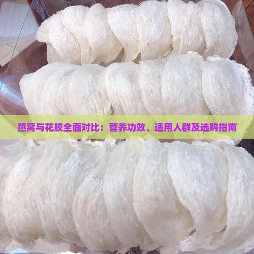 燕窝与花胶全面对比：营养功效、适用人群及选购指南