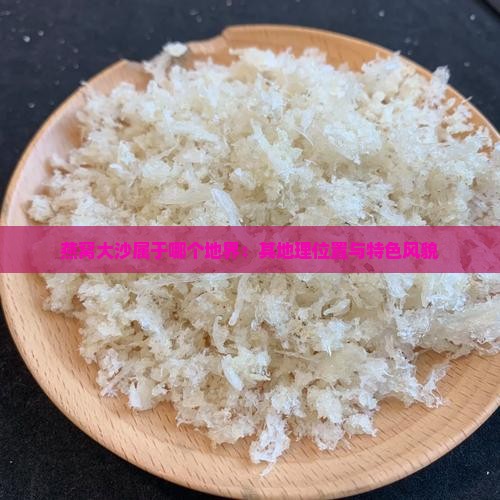 燕窝大沙属于哪个地界：其地理位置与特色风貌