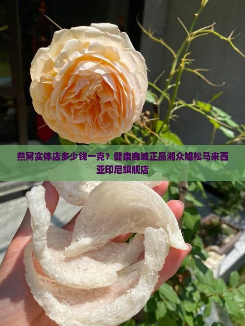 燕窝实体店多少钱一克？健康商城正品湘众旭松马来西亚印尼旗舰店