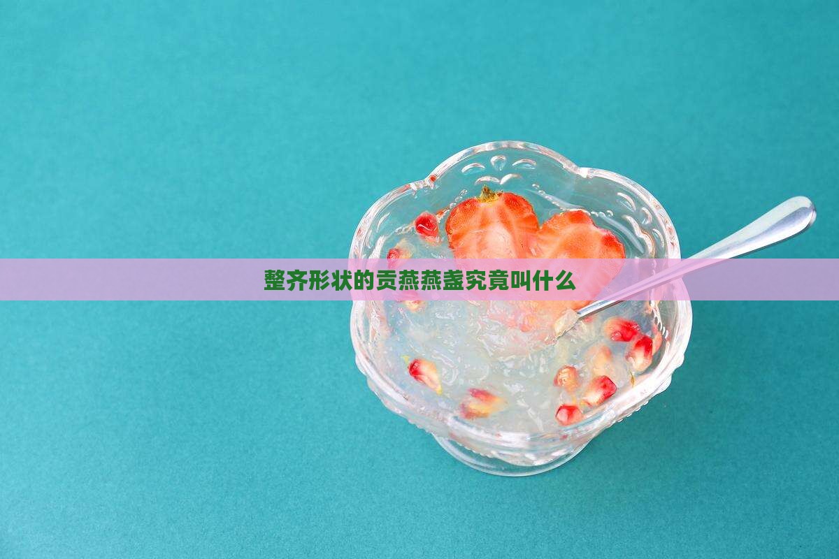 整齐形状的贡燕燕盏究竟叫什么