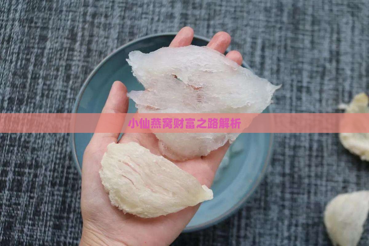 小仙燕窝财富之路解析