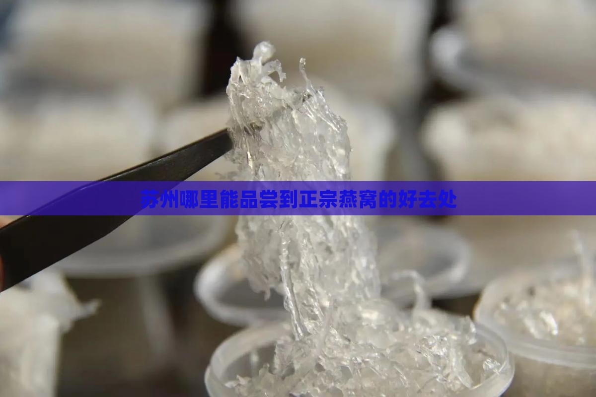 苏州哪里能品尝到正宗燕窝的好去处