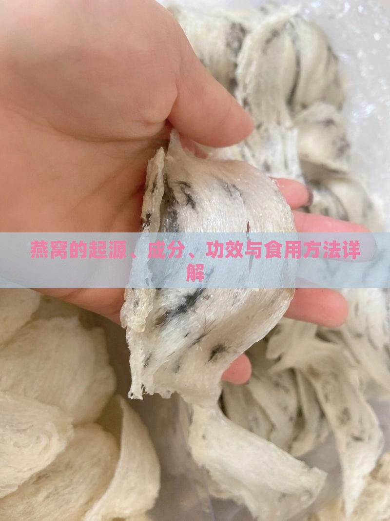 燕窝的起源、成分、功效与食用方法详解
