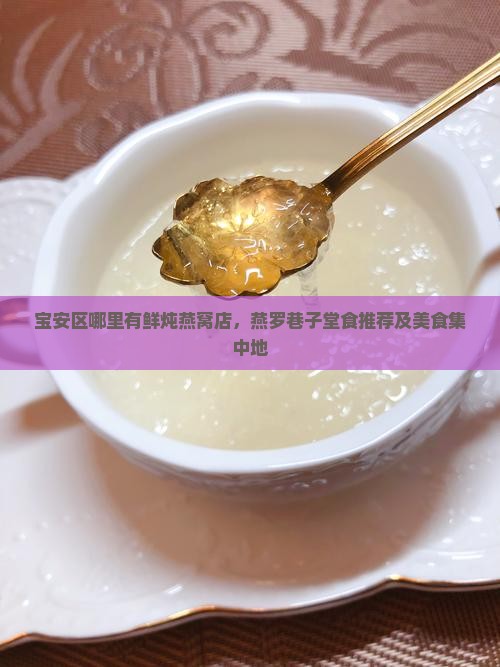 宝安区哪里有鲜炖燕窝店，燕罗巷子堂食推荐及美食集中地