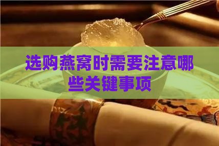 选购燕窝时需要注意哪些关键事项