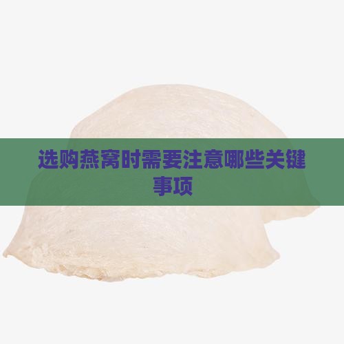 选购燕窝时需要注意哪些关键事项