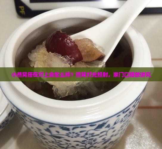 小燕窝搭在灯上会怎么样？燕窝灯光照射，家门口摆放讲究