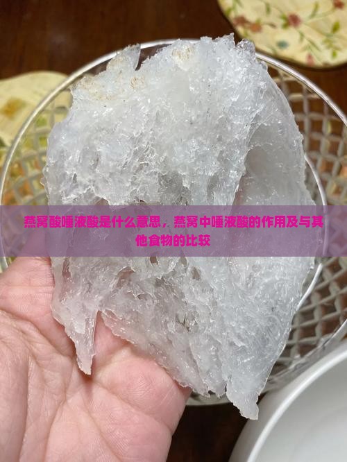 燕窝酸唾液酸是什么意思，燕窝中唾液酸的作用及与其他食物的比较